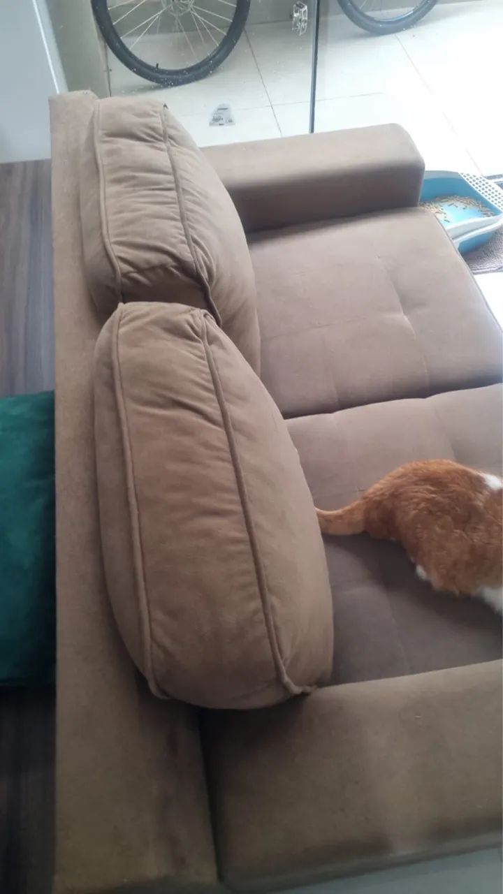 Sofá Casa Verde  - Foto 2