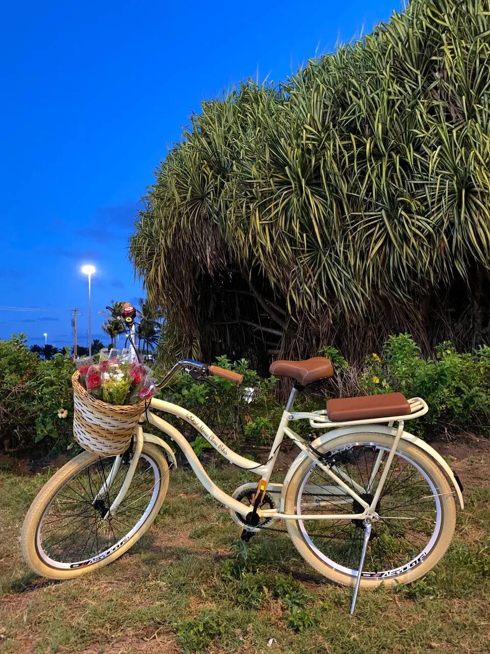 Bicicleta  - Foto 5