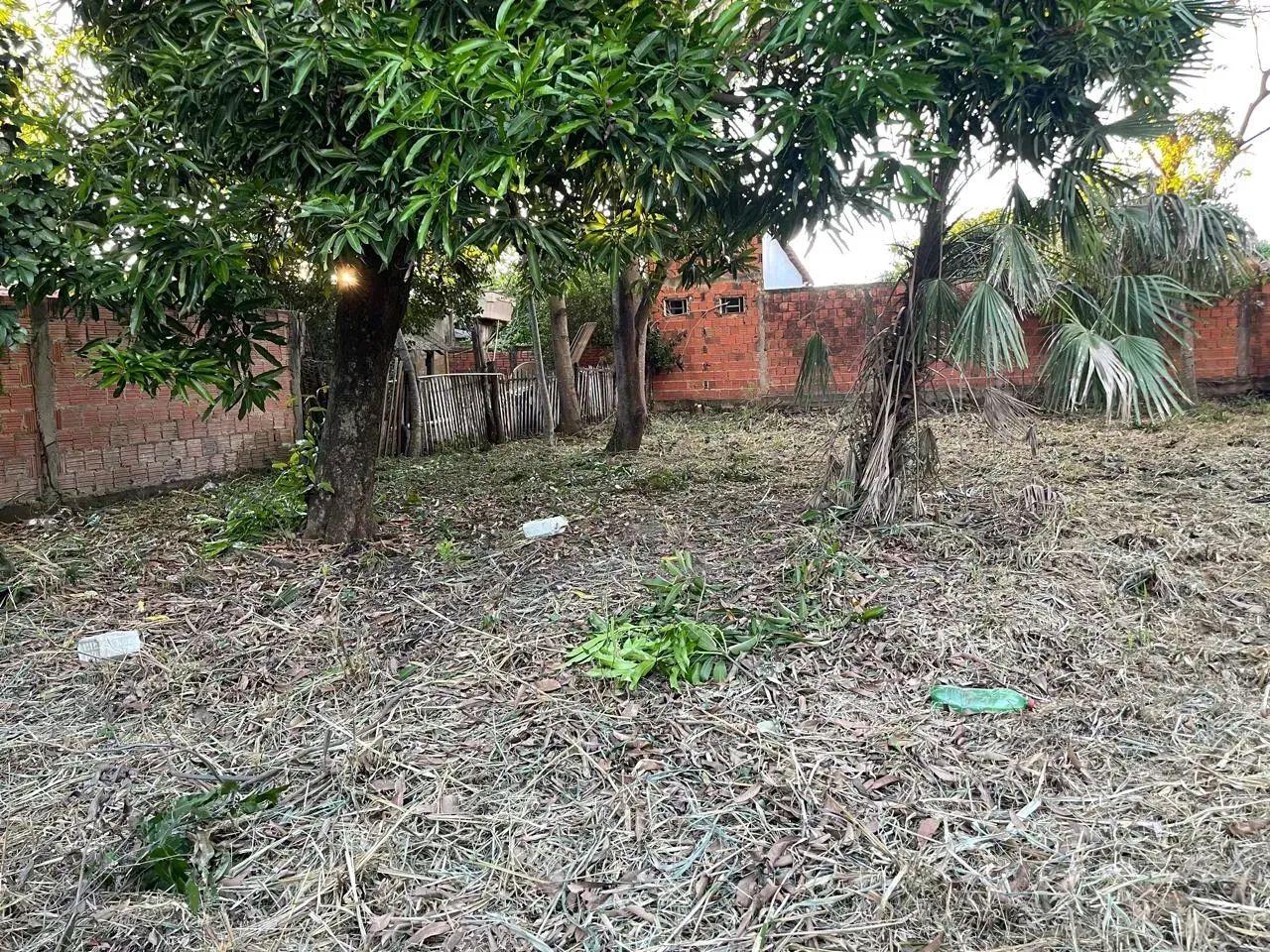 TERRENO EM PORTO MURTINHO-MS - Foto 5