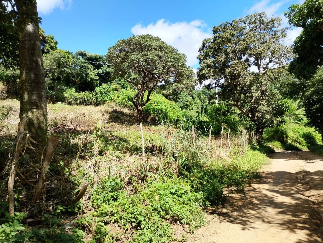 Terreno 1000m2 - Foto 2