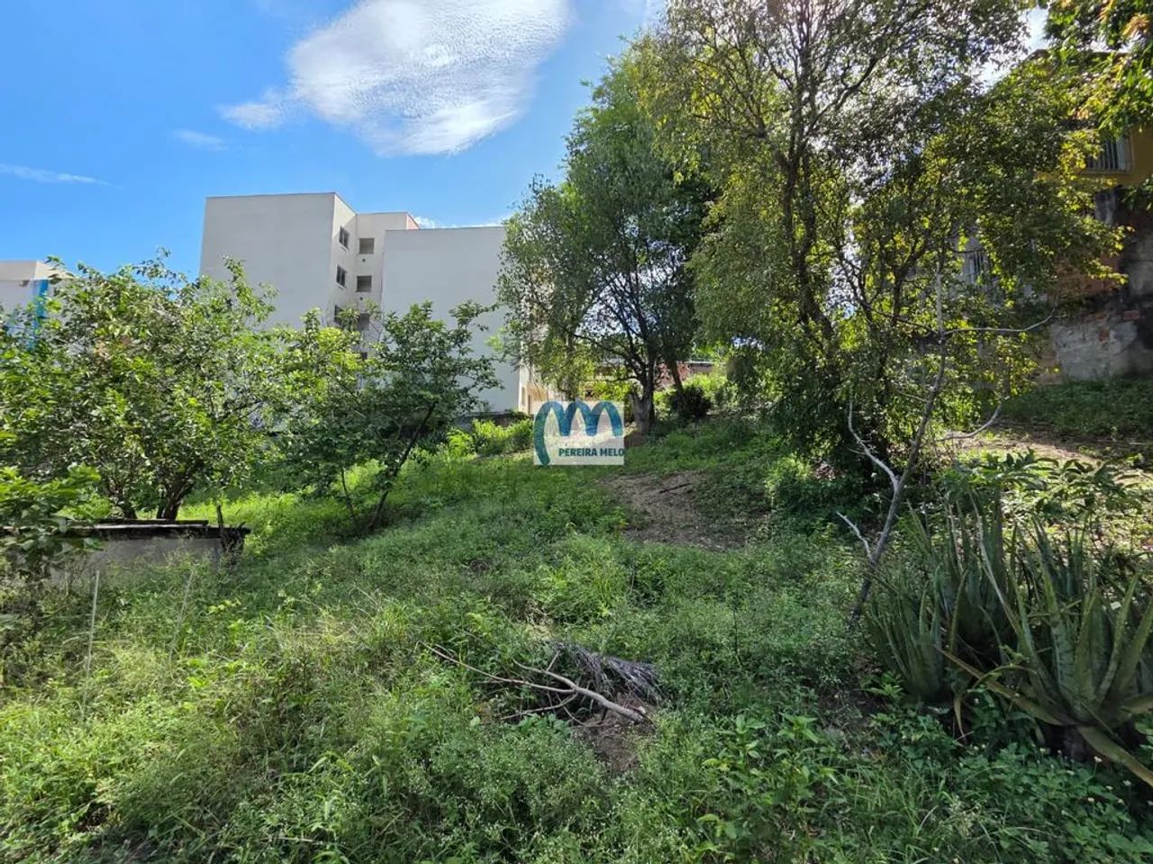 Terreno/Lote à venda 2.454m² - Foto 2
