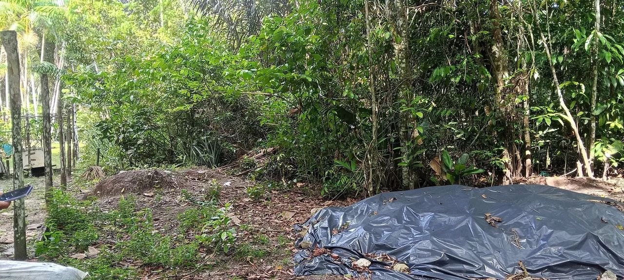 Terreno na agrovila Itaqui  - Foto 5