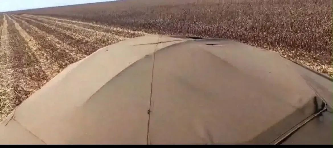 Arrendamento Plantando a 20 anos, Guarai - Tocantins - Foto 4