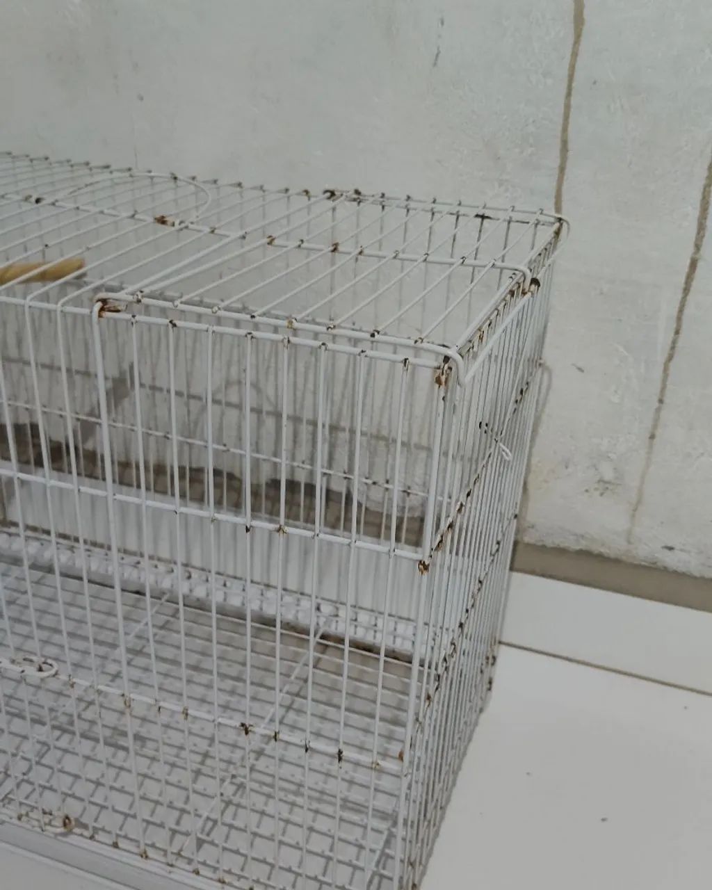 Gaiola para Pássaros Pequeno Porte - Foto 3
