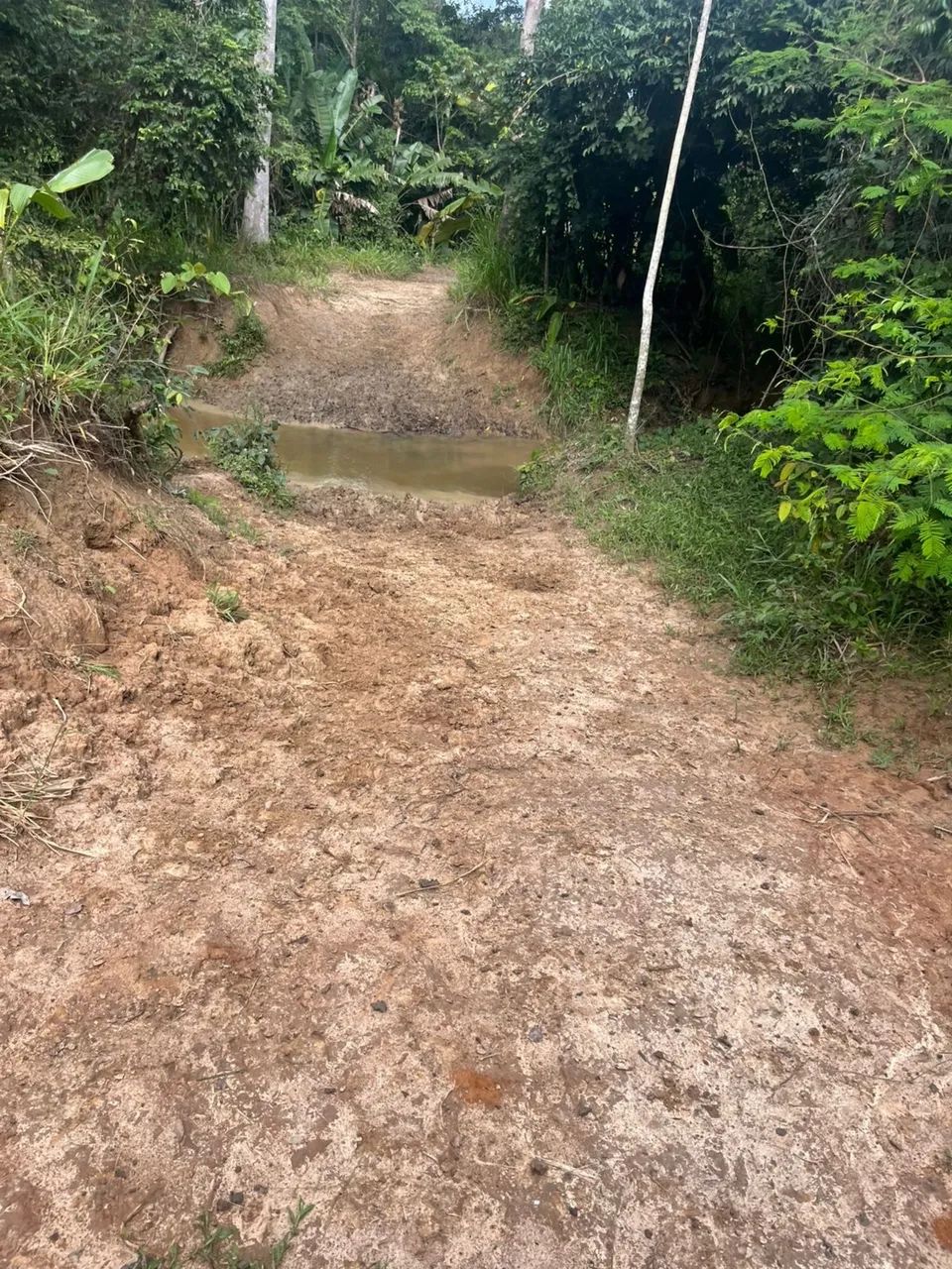 Vende-se fazenda  - Foto 3