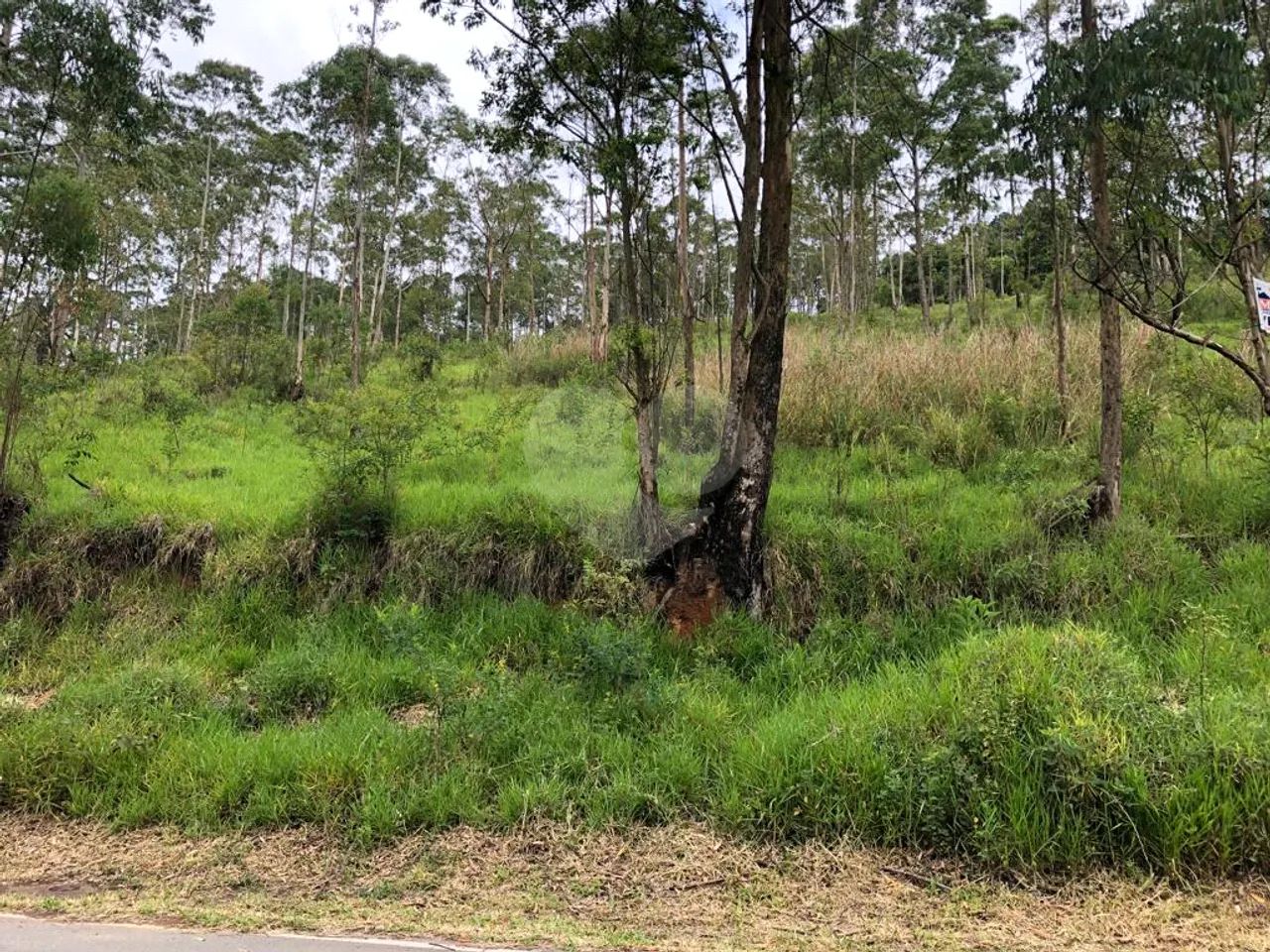 Terreno à venda em Barreiro - SP - Foto 2