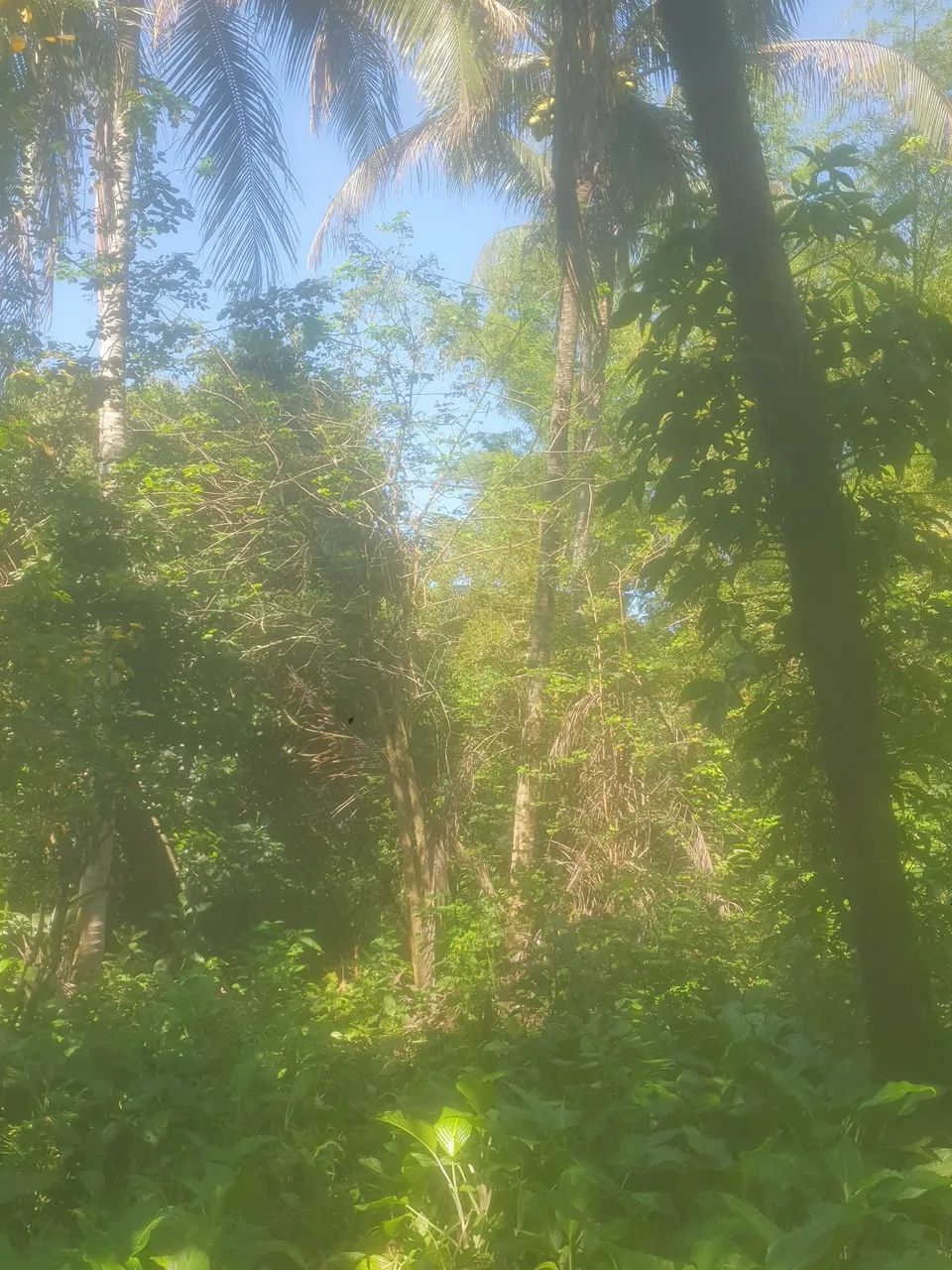 Venda ou troca  - Foto 3