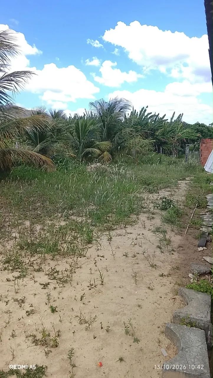 TERRENO COM 3,5 TAREFAS, NO POVOADO CANJINHA - Foto 3
