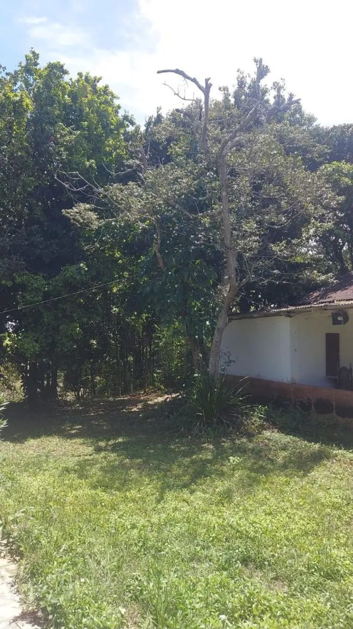 Vendo chácara no Retiro do congo vila velha  - Foto 3