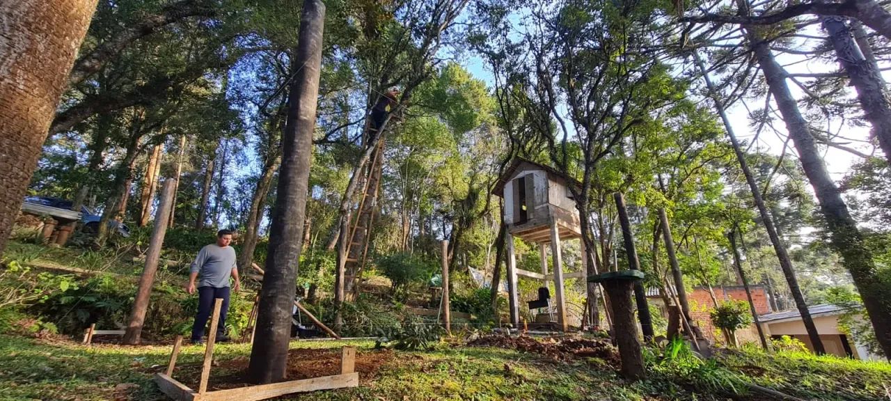 Terreno em Piraquara - PR - Foto 3