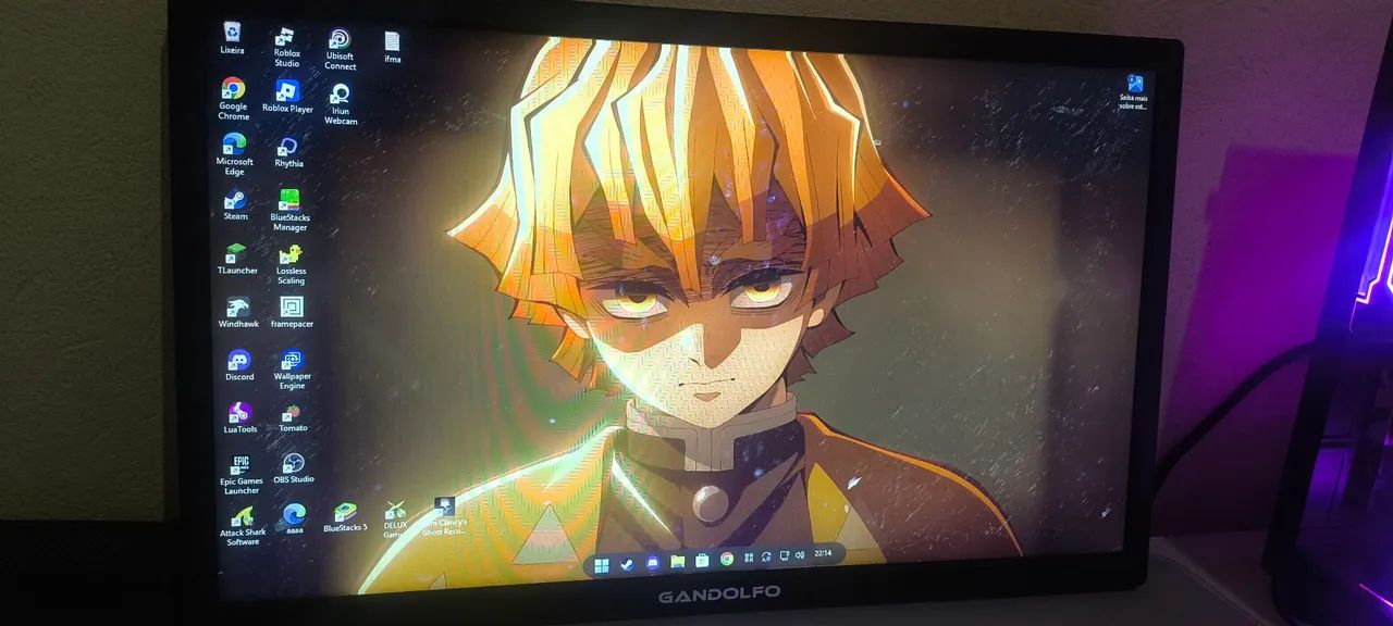 monitor usado 