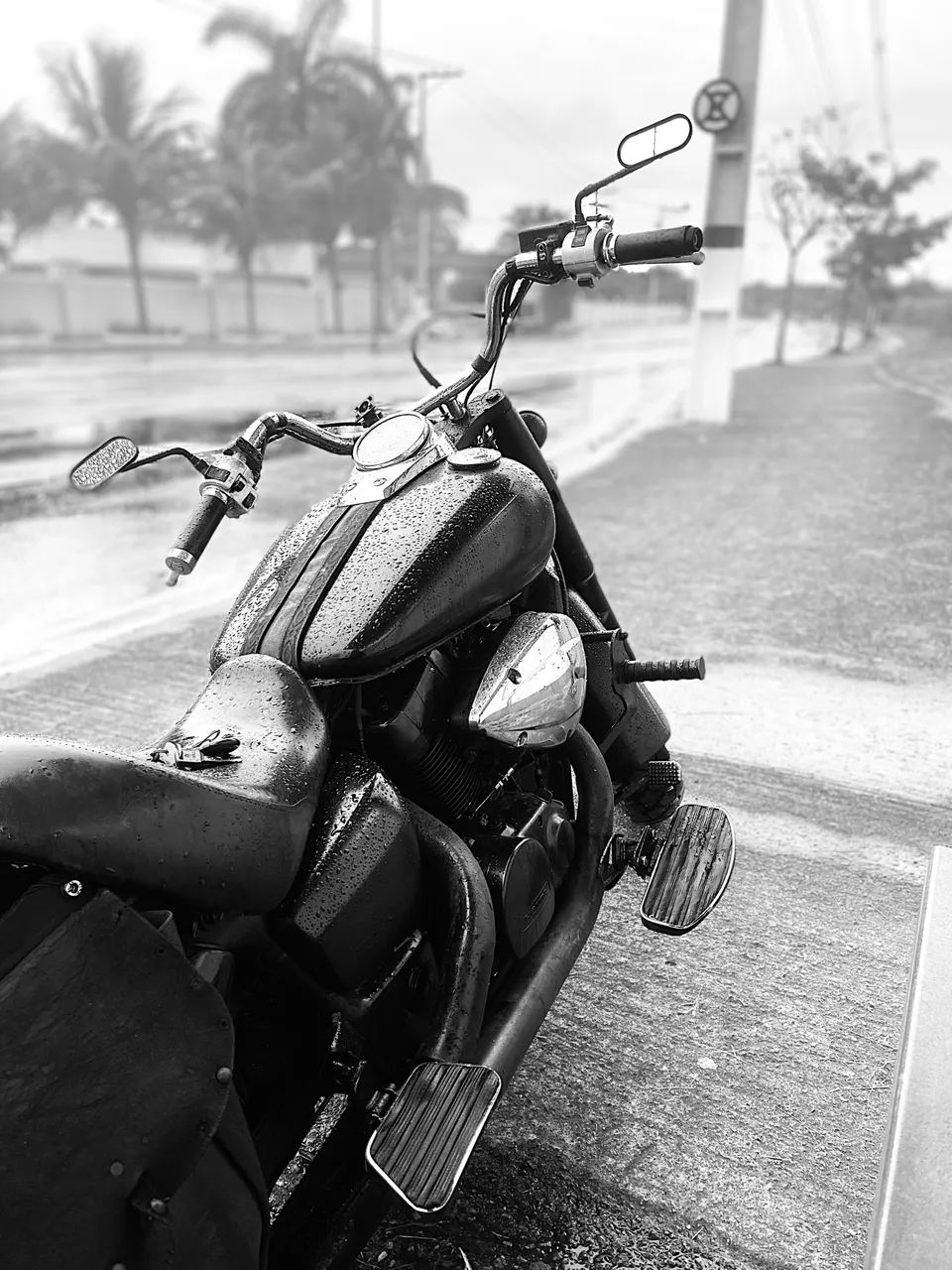 Shadow 750 ano 2008