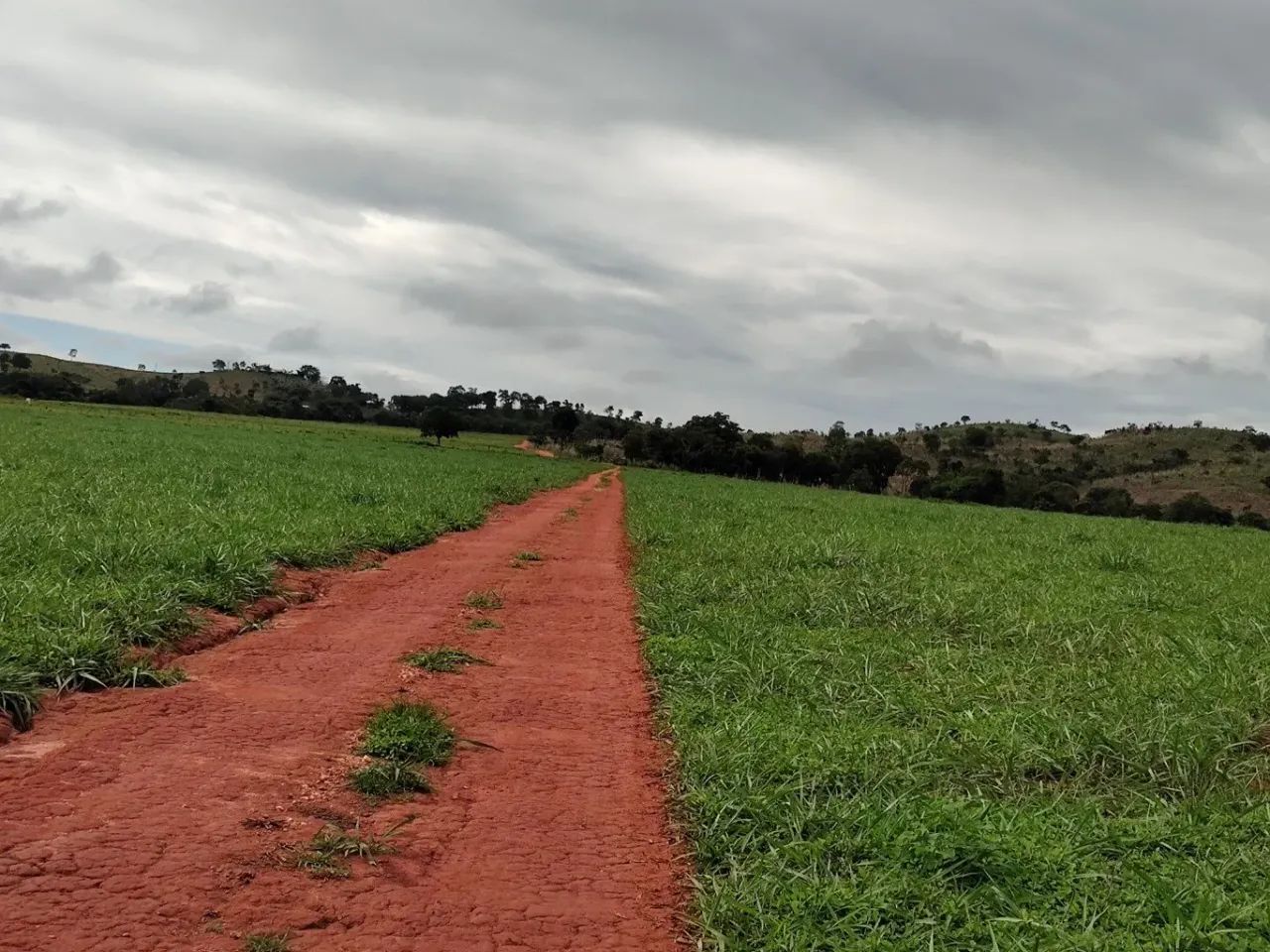 Fazenda Extra - Dupla Aptidão! - Foto 3