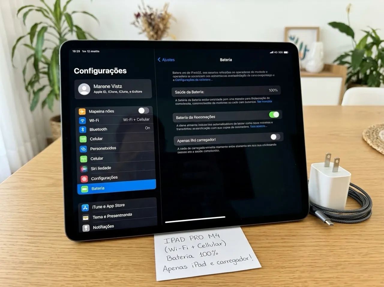 iPad Pro m4 celular 256 gb