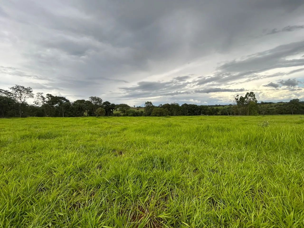 Chácaras Bonfinopolis próximo a cidade - Foto 3