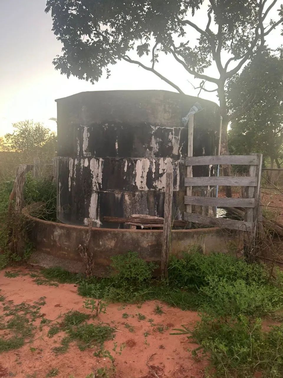 Fazenda 258 hectares  - Foto 3