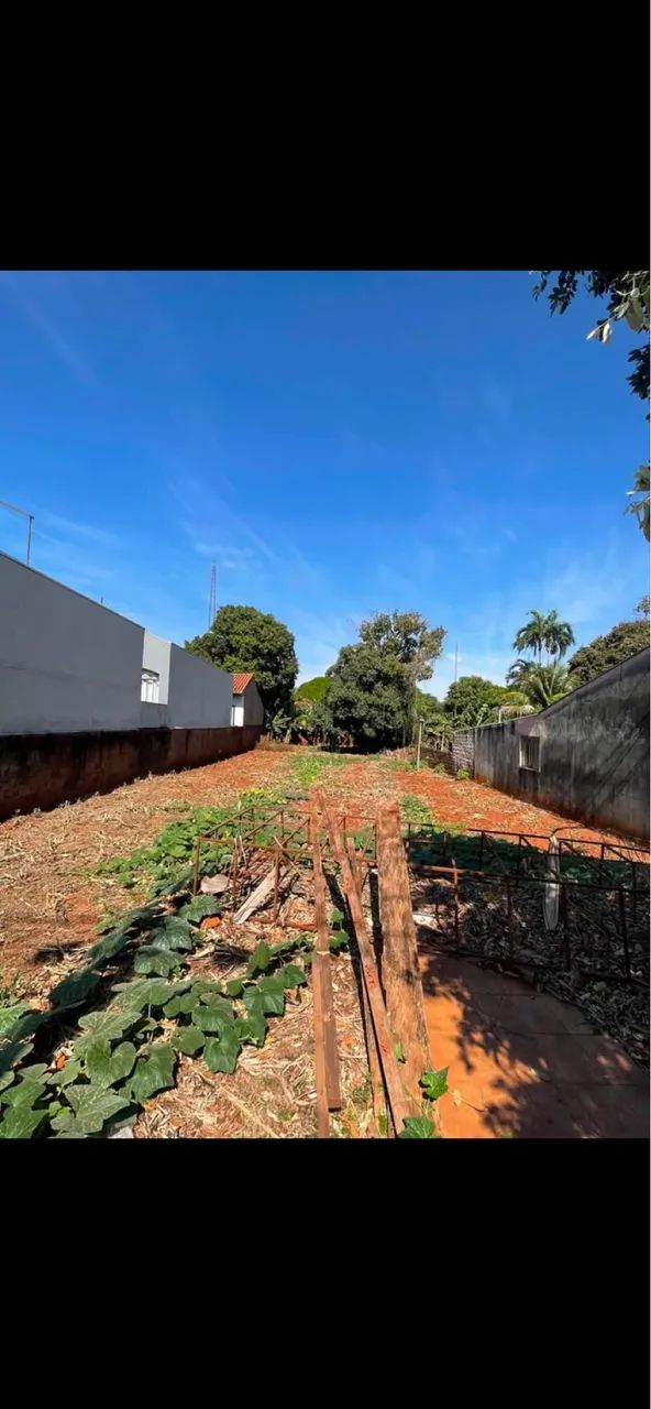 Vendo terreno grande 