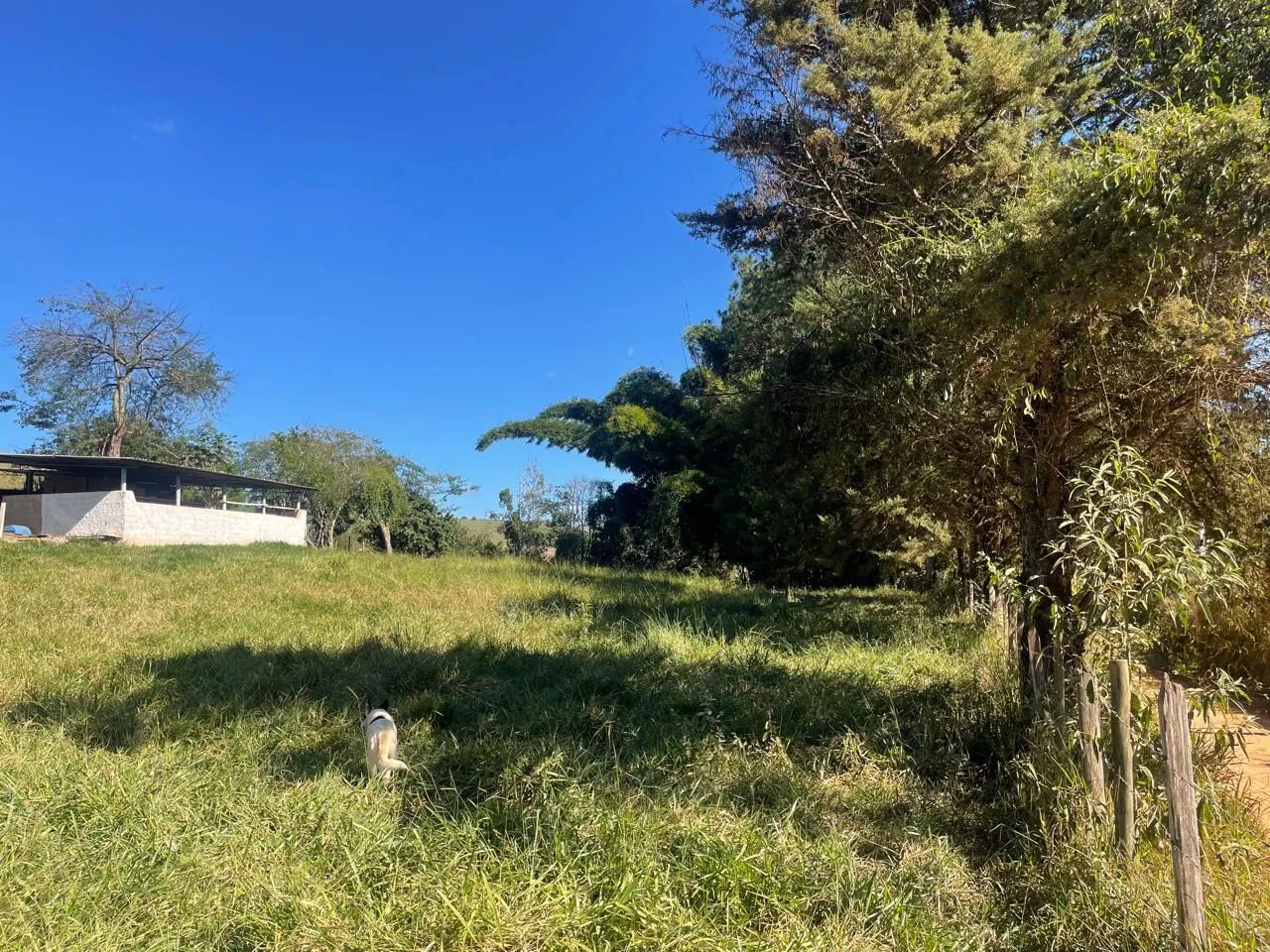 Sítio em São Luíz do Paraitinga - Foto 3