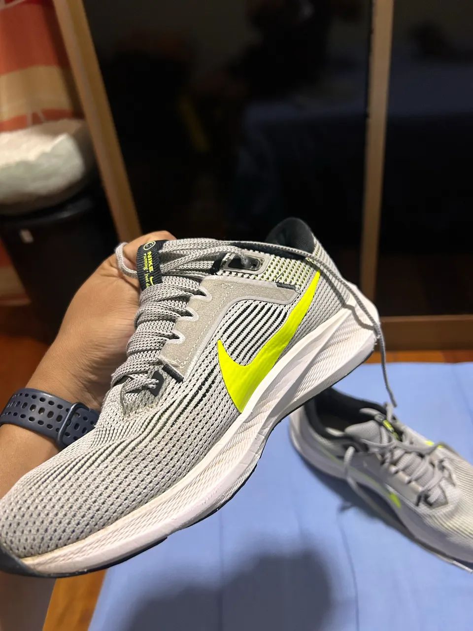 Nike Pegasus