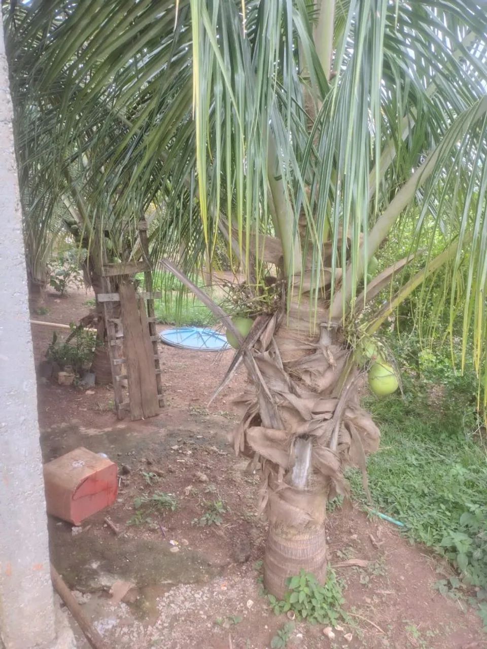 Vendo chácara na região de Guapó