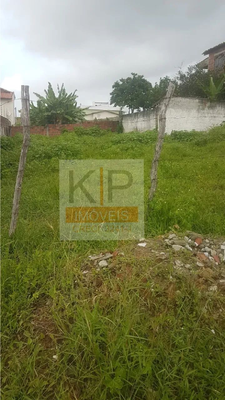 Terrenos em Pajuçara - Foto 4
