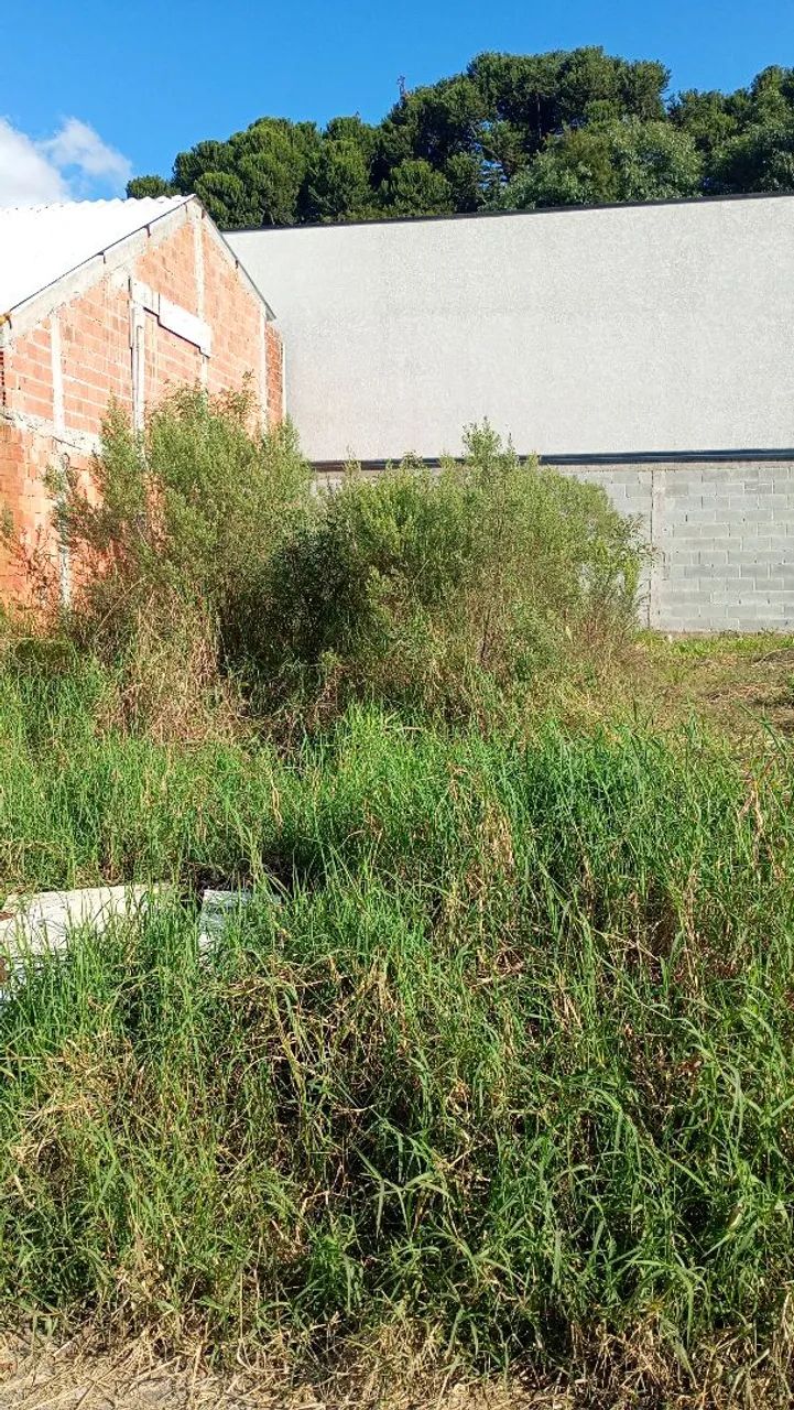 Terreno  - Foto 4