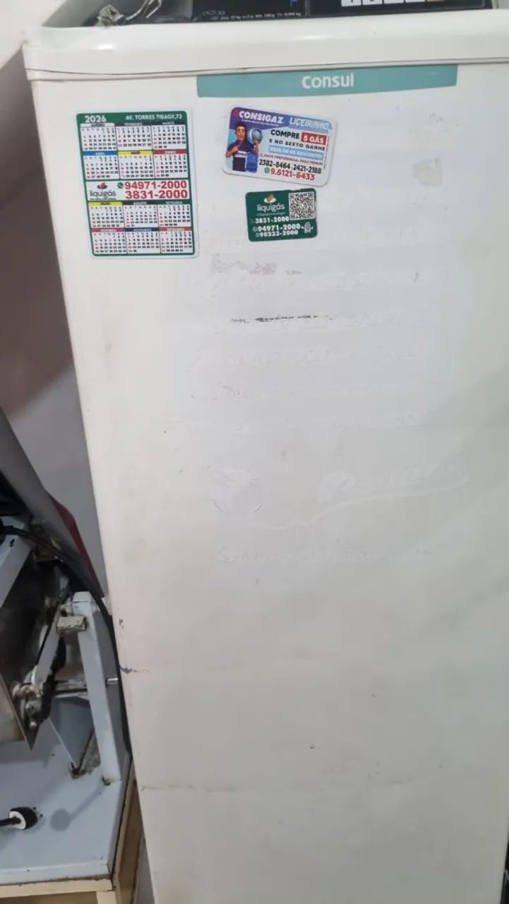 Freezer Vertical Consul 