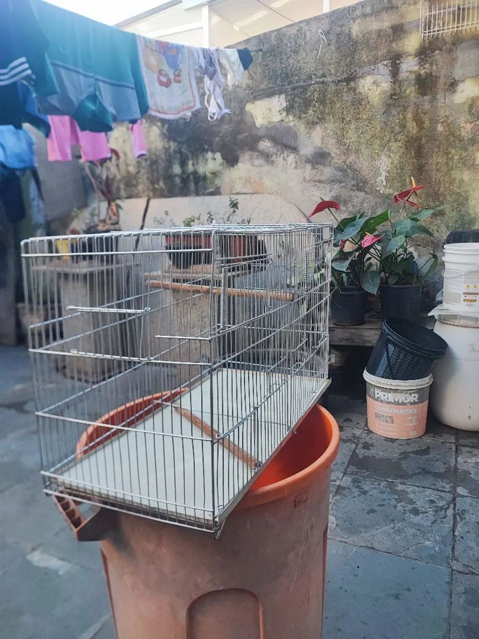 Gaiola  - Foto 5