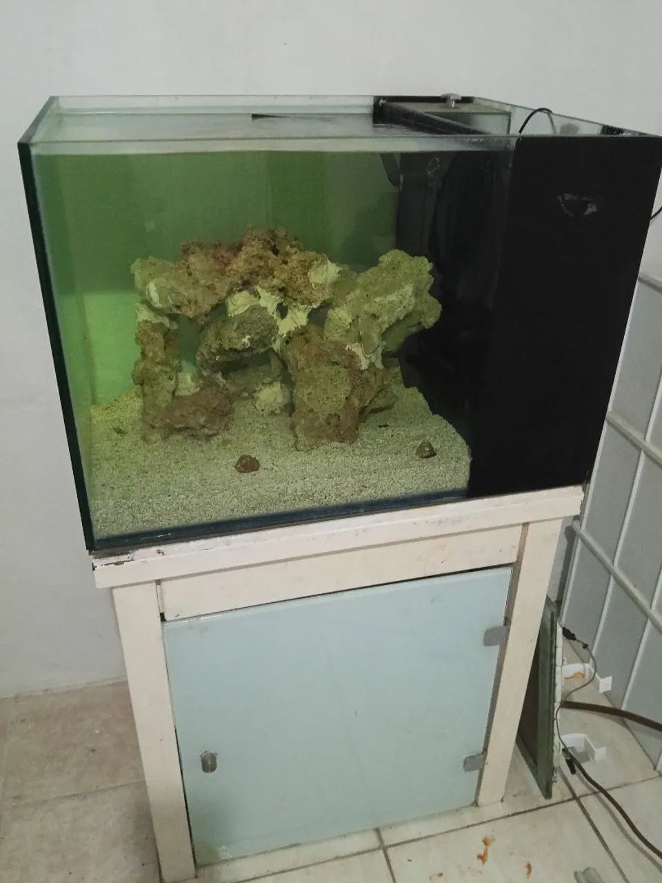 Aquário marinho  - Foto 2