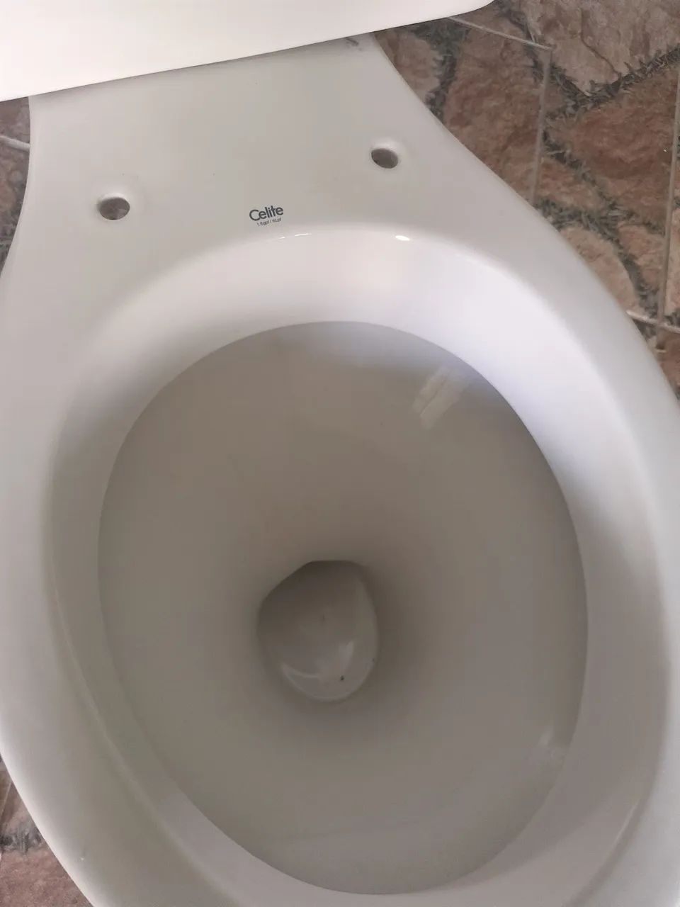 Vaso com caixa acoplada 
