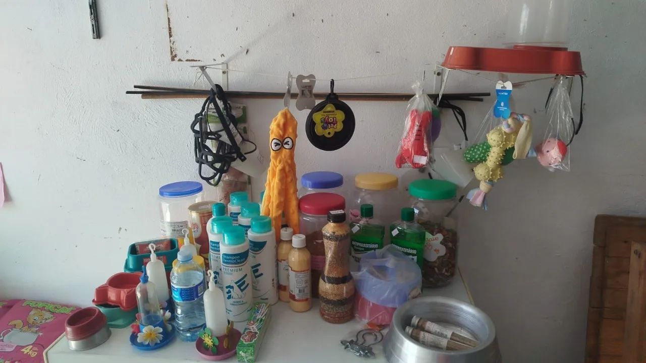 Tudo  - Foto 5
