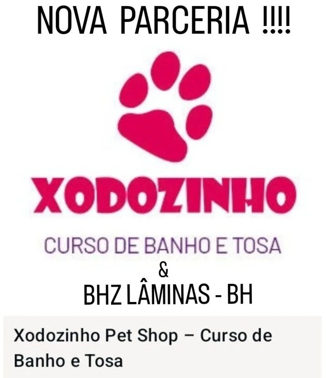 KIT  BANHO  E  TOSA - Foto 3
