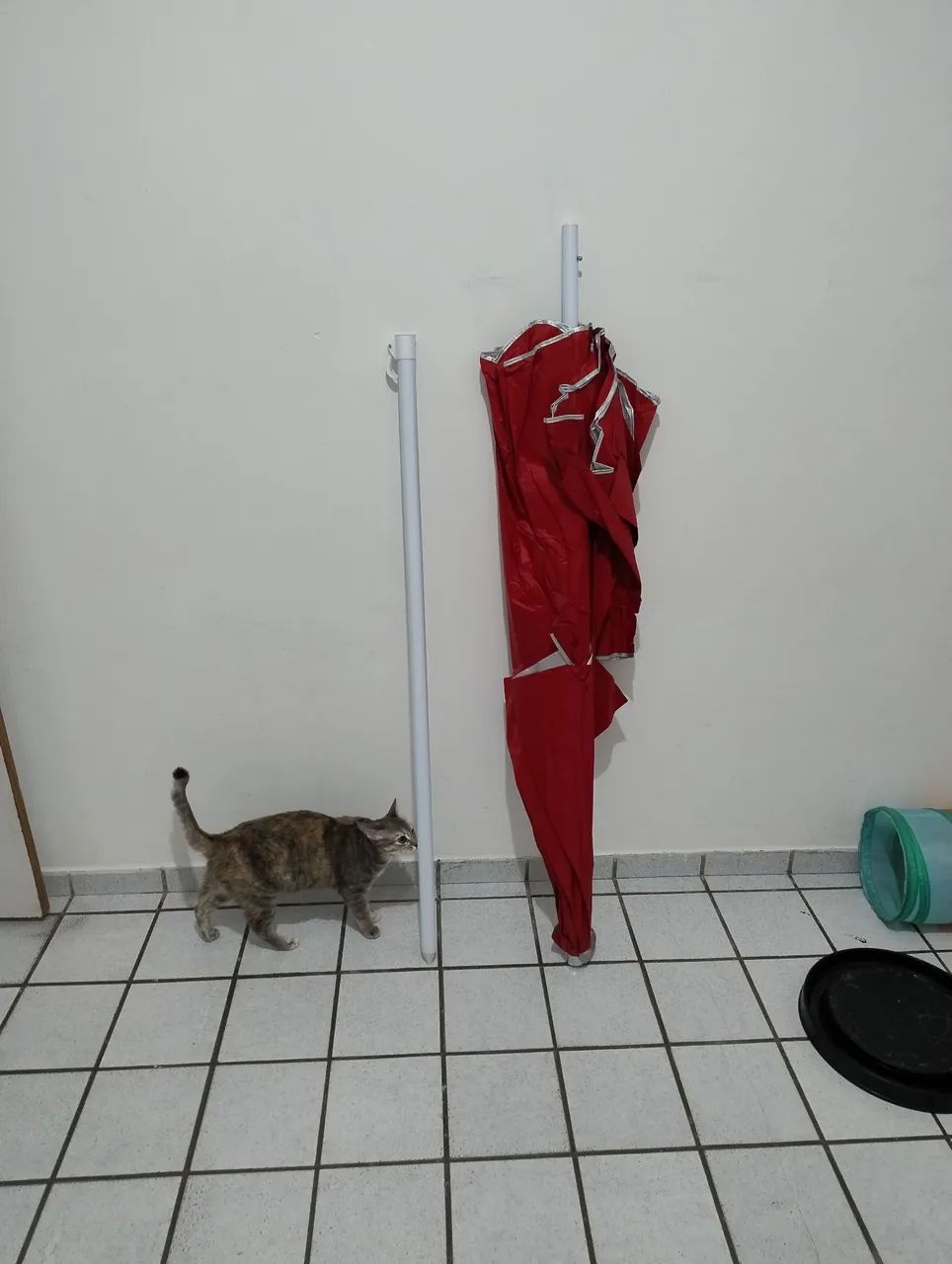 Guarda sol gigante - Foto 5