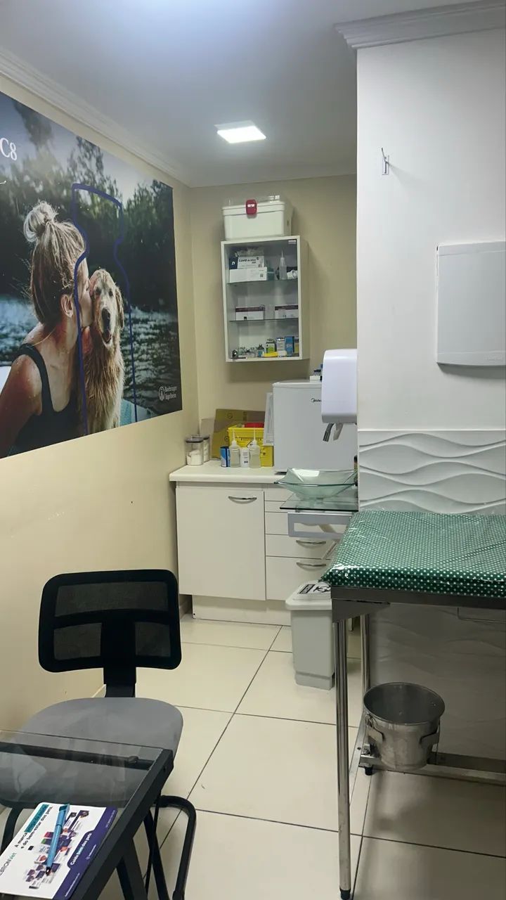 Oportunidade ? Passo o ponto Banho e tosa  - Foto 2