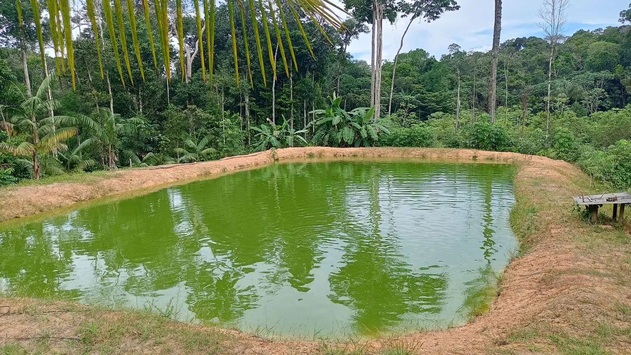 Vendo ou troco sítio  - Foto 5
