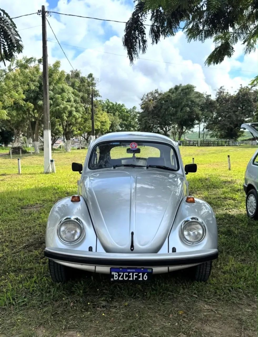 Volkswagen Fusca Fusca (gasolina) 1994