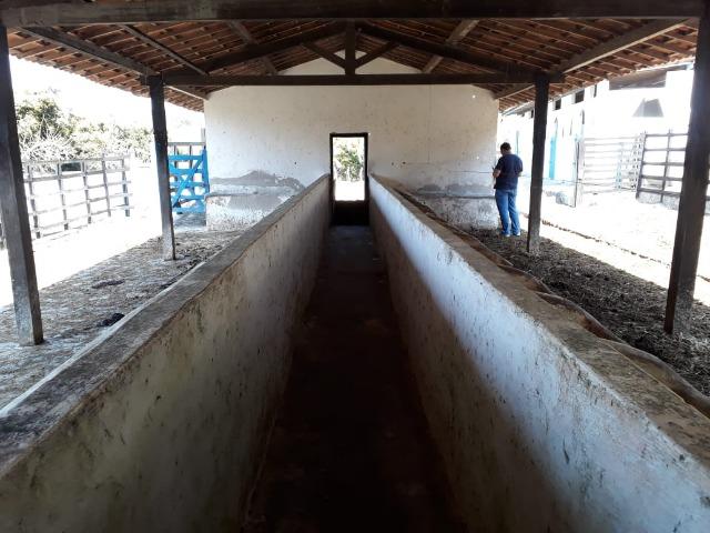 Sítio com 16 hectare em Gravatá-PE Ref.32 - Foto 17