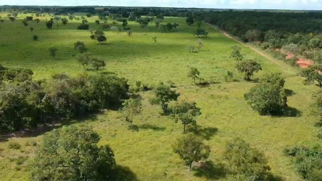 Fazenda em livramento 514 hectares - Foto 2