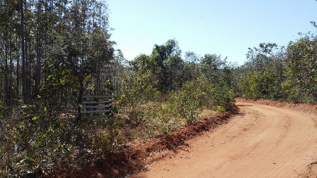 Chácara 14 km de Campo Grande - 9,8 hectares - Foto 20