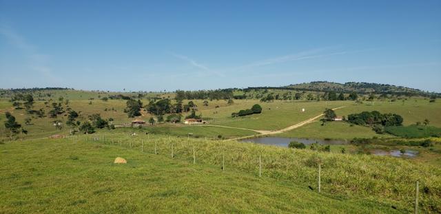 Fazenda a venda no extremo sul da bahia 170 ha - Foto 16
