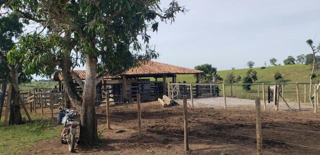 Fazenda a venda no extremo sul da bahia 170 ha - Foto 11