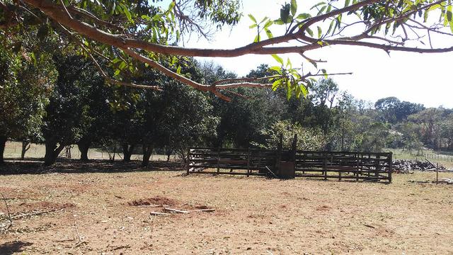 Chácara 14 km de Campo Grande - 9,8 hectares - Foto 7