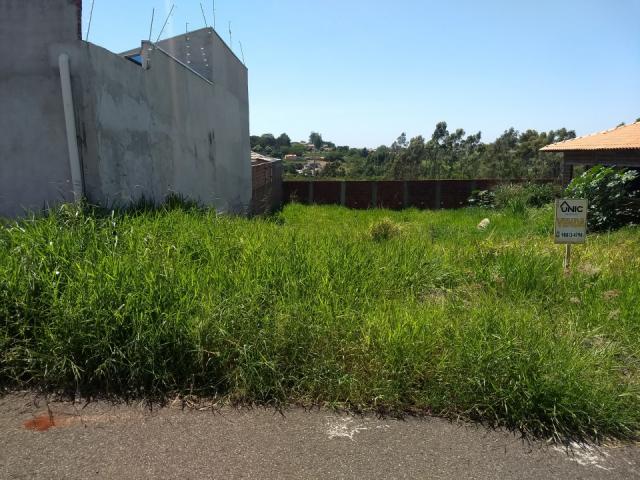 8273 | Terreno à venda em Jardim Ana Lígia, Mandaguaçu - Foto 3