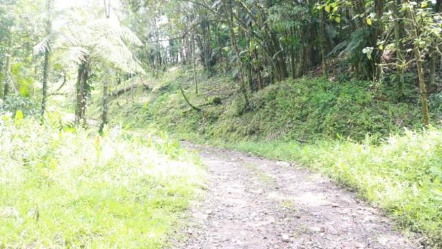 Área em Morretes - Foto 15