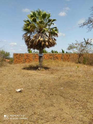 Terreno - Foto 2