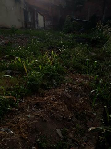 Terreno em são lourenço da mata