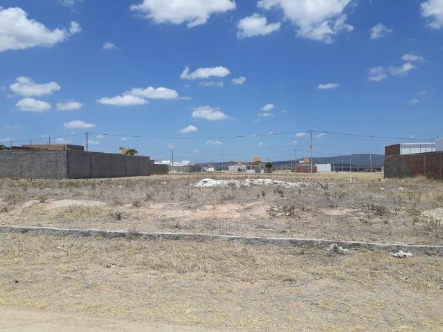 Terreno Loteamento Rocha Arcoverde - Foto 5