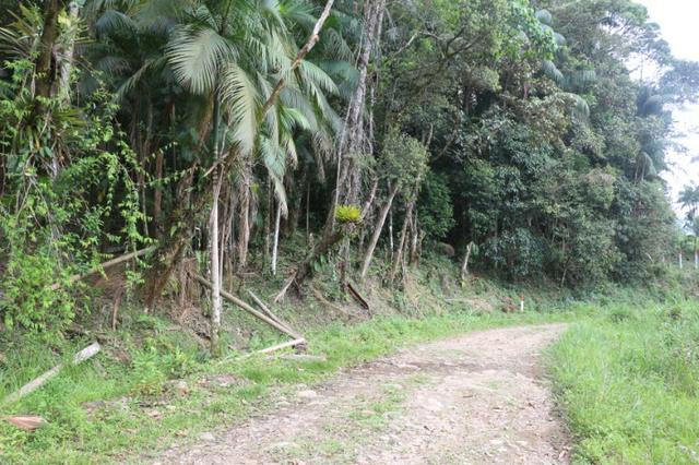 Área em Morretes - Foto 14