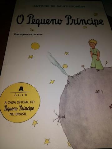 O pequeno ´príncipe
