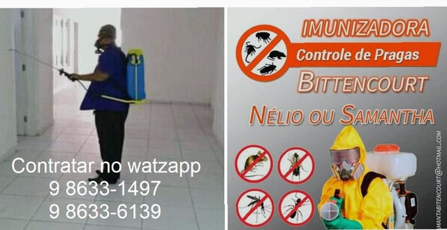 Detetização